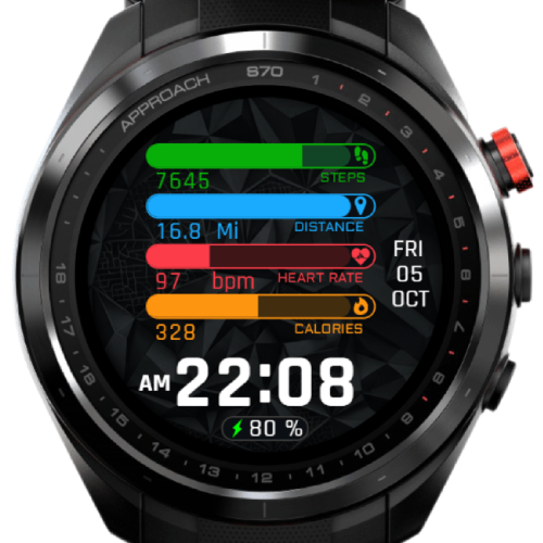 Fit Panel Digital · Screenshot 0