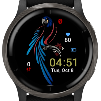 Colorful Parrot · Screenshot 3