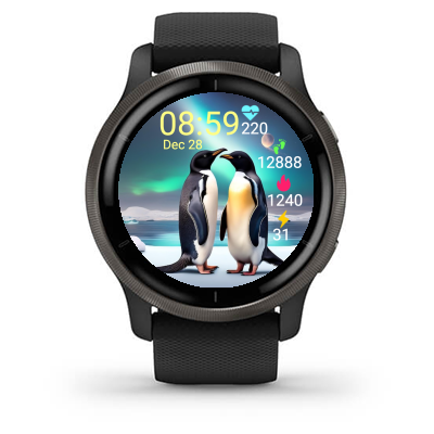 Penguins S02 · Screenshot 1