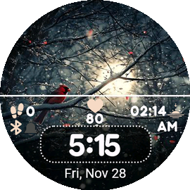 Daily Winter · Screenshot 1