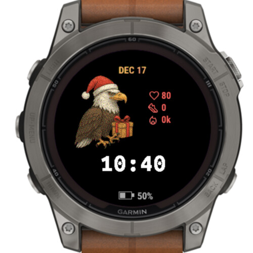 Christmas Eagle Gift · Screenshot 0