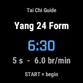 Tai Chi Guide · Screenshot 1