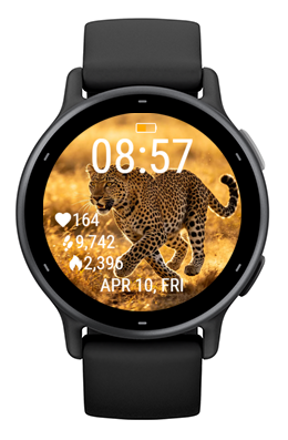 Savannah Leopard · Screenshot 3