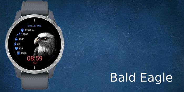 Bald Eagle · Screenshot 0
