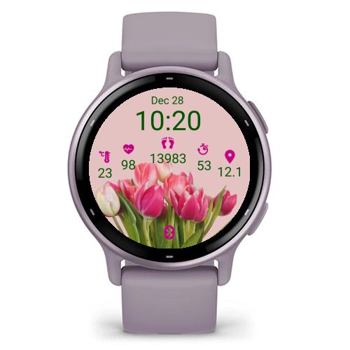 Pink Spring Tulips  2
