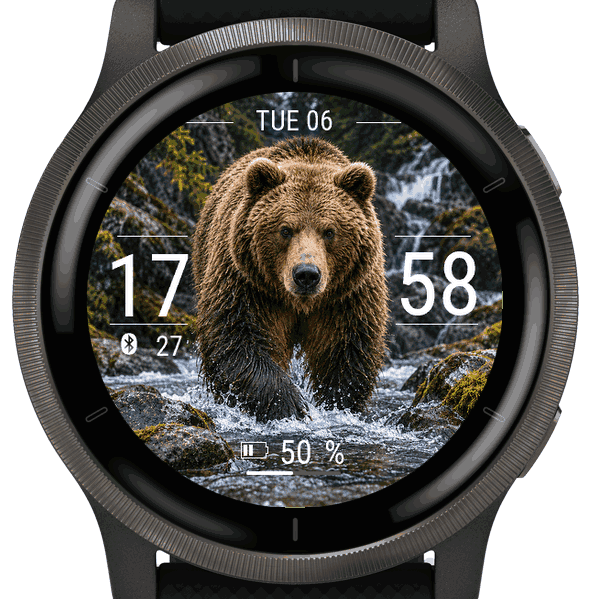 bear · Screenshot 3