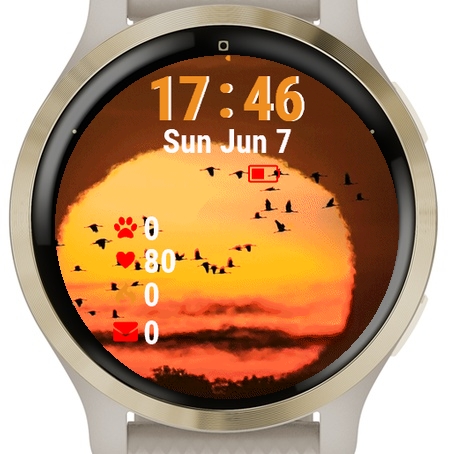 Birds Flying Front Sun · Screenshot 0