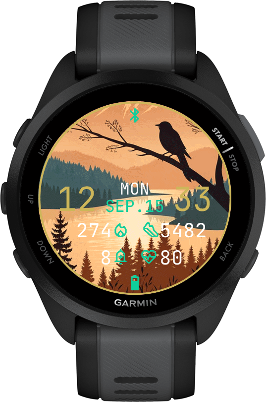 Mountain Bird · Screenshot 1