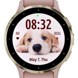 Thinking Dog · Screenshot 2