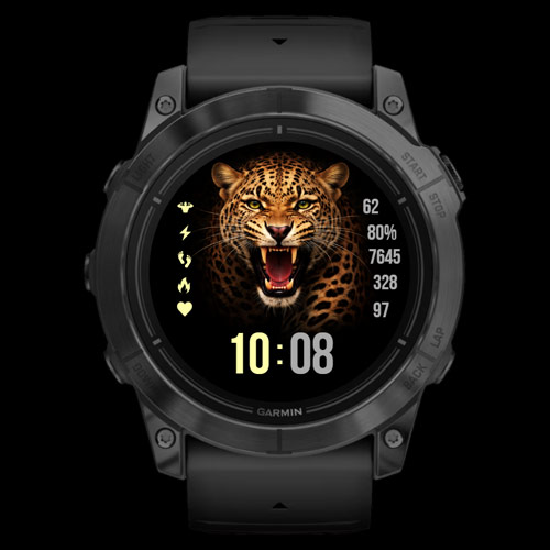 Shadow Leopard · Screenshot 0