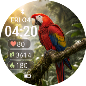 Macaw · Screenshot 1