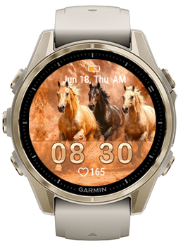 Wild Stallions · Screenshot 0