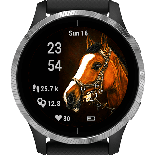Horse Selfie Majesty G · Screenshot 4