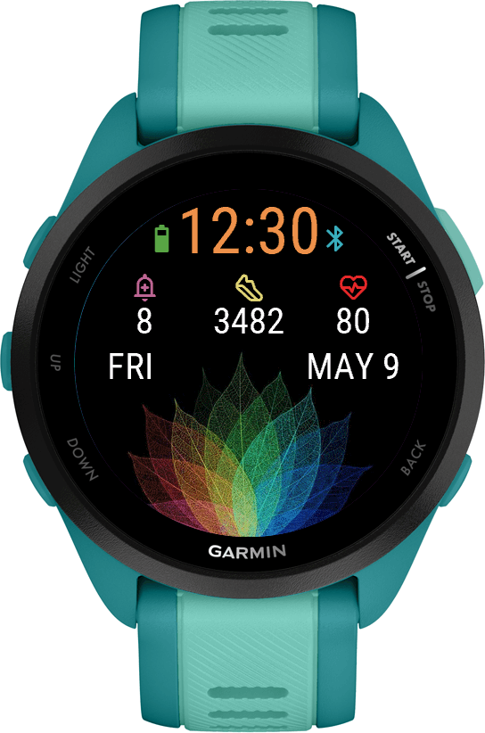 Rainbow Leaf · Screenshot 3