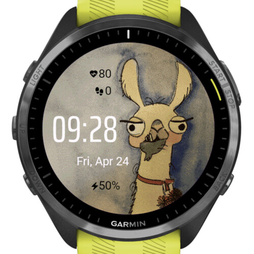 Funny Llama 4