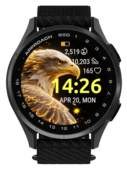 Fire Eagle 3
