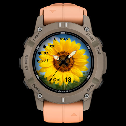 Sunny Bloom (Your Data. Your Style) 3