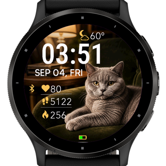 British Shorthair Library · Screenshot 3