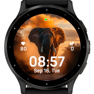Sunset Elephant · Screenshot 1