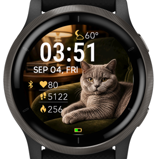British Shorthair Library · Screenshot 4