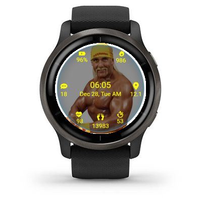 WWF Superstar Hulk Hogan 6