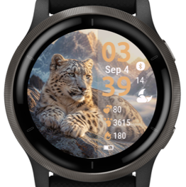 Snow Leopard · Screenshot 2
