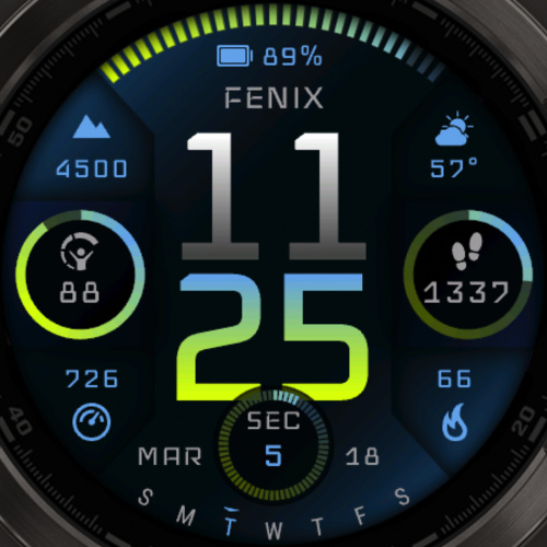 Fenix 8 V2 - GB 6