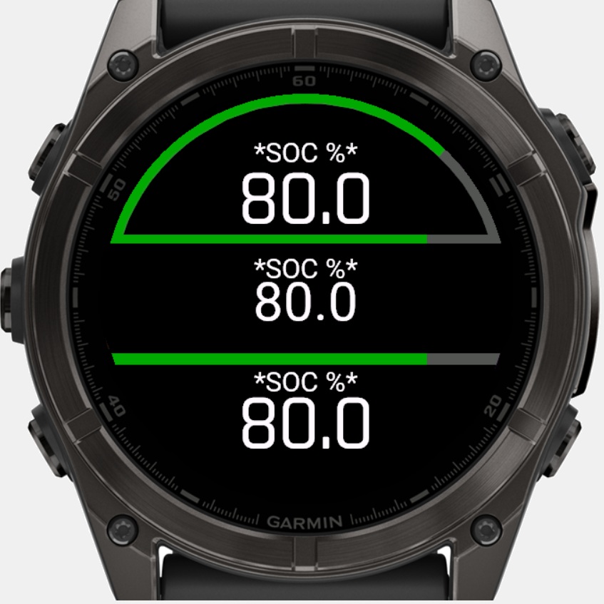 ShuntWatch Vi Data Field - Battery Bank Monitor · Screenshot 0