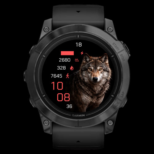 Alpha Wolf · Screenshot 0