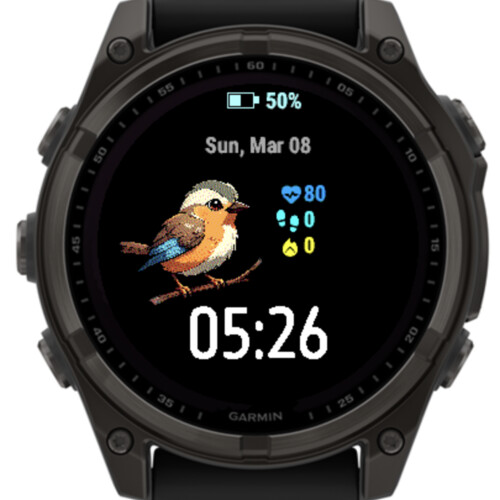 Cute Little Bird · Screenshot 3