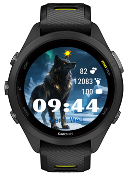 Black Wolf · Screenshot 3