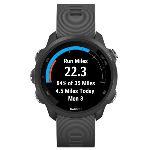Weekly Running Distance Goal Widget · Screenshot 1
