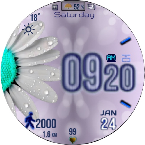 DynamiC_T91 5