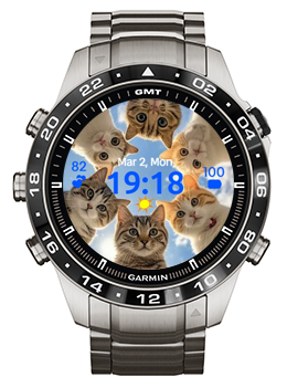 Six Cats · Screenshot 2