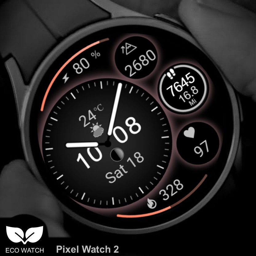 Pixel Watch 2 4