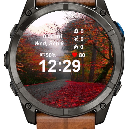View Road Covered Red Leaves · Screenshot 1