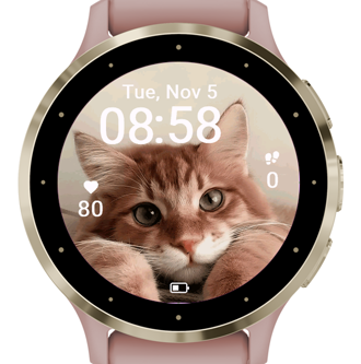 Orange Cat · Screenshot 1