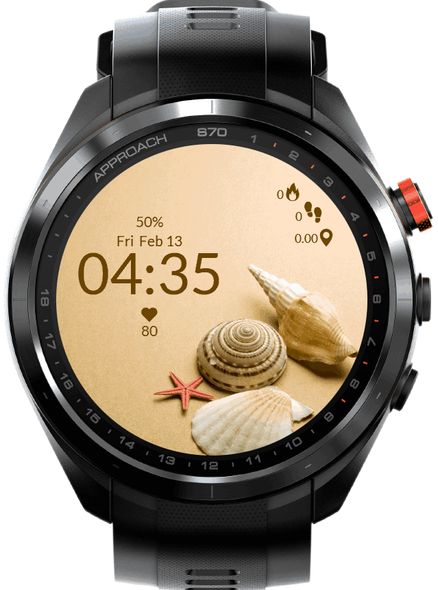 Seashell 2