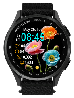 Colorful Petal · Screenshot 0