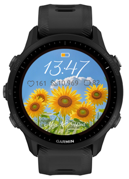 Sunflower Garden · Screenshot 2