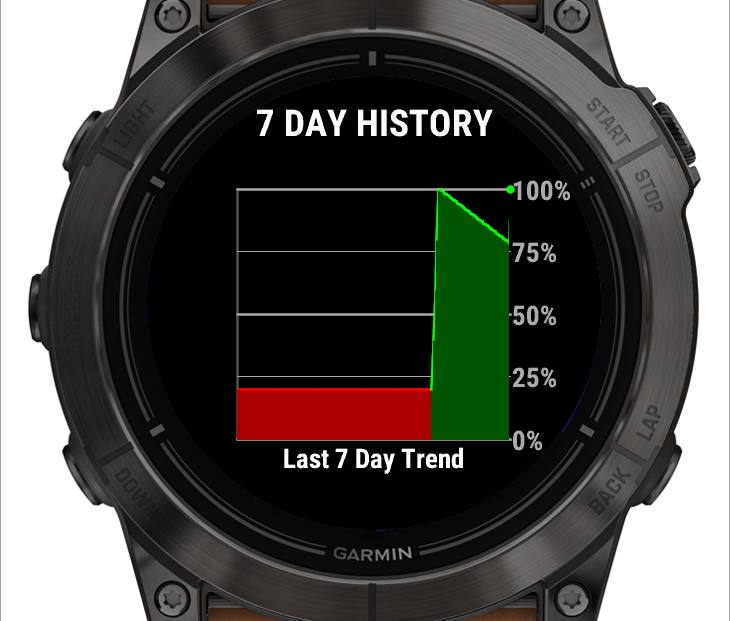 Battery Warrior 6