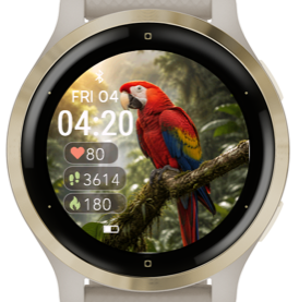 Macaw · Screenshot 0