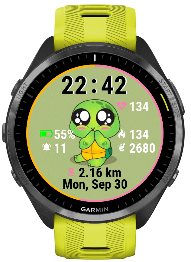 CoolTurtle · Screenshot 1