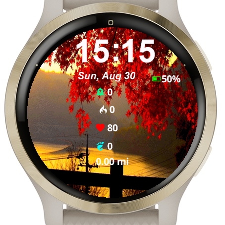 View Sun Setting Red Leaves · Screenshot 0