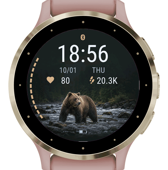 River Bear · Screenshot 0