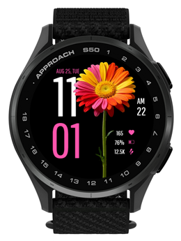 Rainbow Petal · Screenshot 3