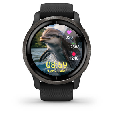 Dolphin · Screenshot 1