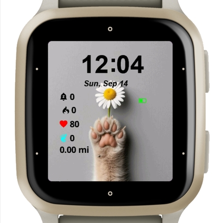 Kitty · Screenshot 0