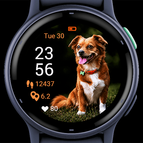 Happy Lipici Dog G · Screenshot 4