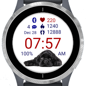 Puppy Lazy · Screenshot 4